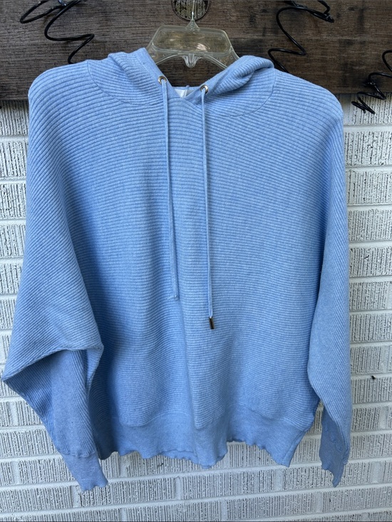 Chelsea & Theodore Sweaters - Chelsea & Theodore Women's Light Blue Ribbed Crewneck Hoodie Sweater